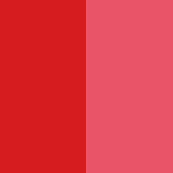 Free sample for Pigment Violet 23 SPC Mono-mansterbatch - Pigment Red 242 – Precise Color