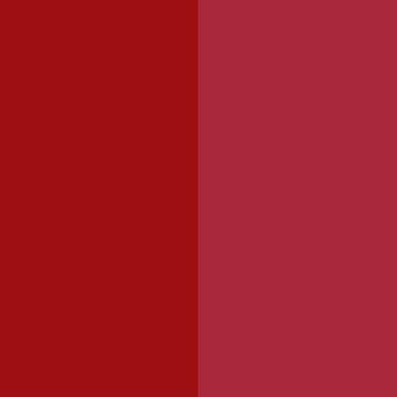 China wholesale single pigment concentration - Pigment Red 254 / CAS 84632-65-5 – Precise Color