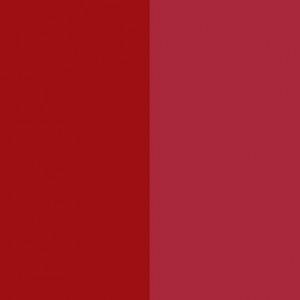 Manufacturer of Pigment Violet 23 light fastness - Pigment Red 254 – Precise Color
