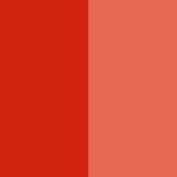 China wholesale single pigment concentration - Pigment Red 4 – Precise Color
