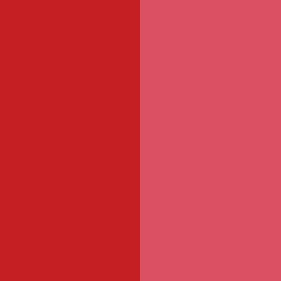 Manufacturer of Pigment Violet 23 light fastness - Pigment Red 48:3 / CAS 15782-05-5 – Precise Color