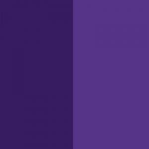 Pigment Violet 23 / CAS 6358-30-1