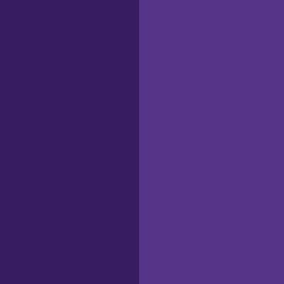 China wholesale single pigment concentration - Pigment Violet 23 – Precise Color