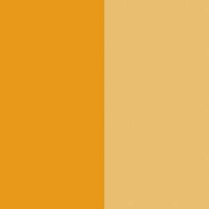 Pigment Yellow 110 / CAS 5590-18-1