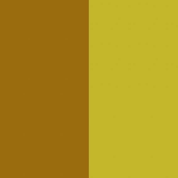 High reputation Pigment Orange 64 light fastness - Pigment Yellow 150 / CAS 68511-62-6 – Precise Color
