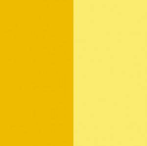 Pigment Yellow 74 / CAS 6358-31-2