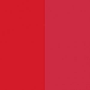 Professional China plastic colorants -  Solvent Red 24 – Precise Color