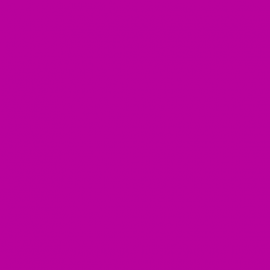 Factory Outlets Disperse Violet 57 PET fiber terylene - Solvent Red 218 – Precise Color