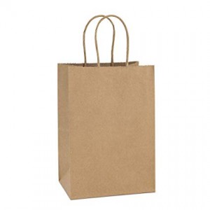 Luxury Brown Paper Shopping Bag
