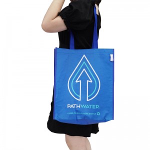 Wholesale Eco Laminated Non Woven Fabric Shopping Bags
