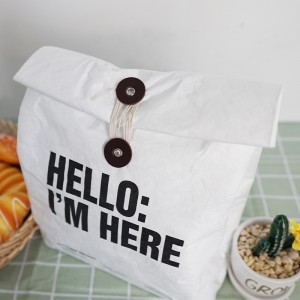 Tyvek Paper Lunch Cooler Bag