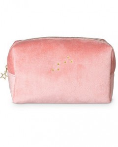 Luxury Pink Velvet Makeup Bag