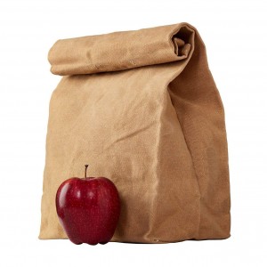 Office Lunch Cooler Bag for Business