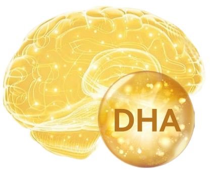 DHA Algal Oil: Introduction, Mechanism and health benefits