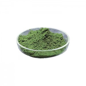 Algael extract  Chlorella Powder for healthy food