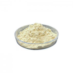 Algael extract  Chlorella Powder for healthy food