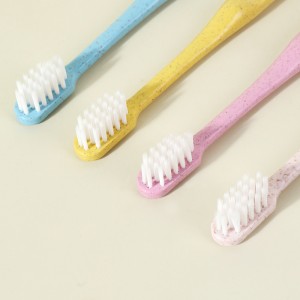Biodegradable Toothbrush OEM Toothbrush