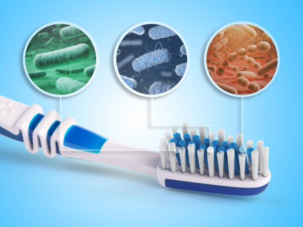 Kaip išvalyti savo dantų šepetėlį?