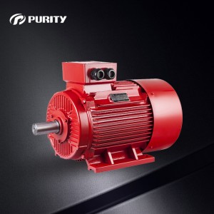 Purity New High efficiency electric motors YE3