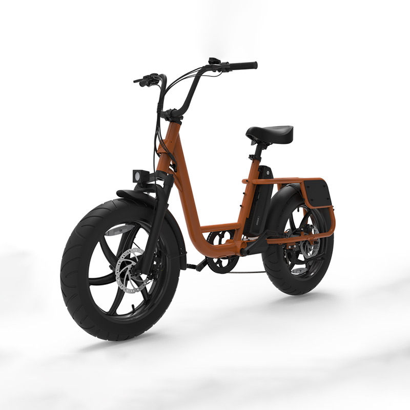 TY-G Utility Fashion light mountain bikebattery  electric bike bicycle  (1)