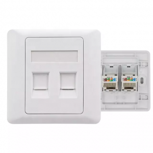 Wholesale Best Electrical Plates Manufacturers - 2-Port Ethernet Wall Plate with RJ45 Cat5e/Cat6 Keystone Jack – Puxin
