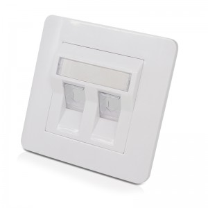 Network 45 angled face plate two ports