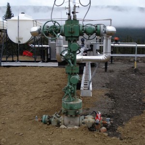 Bohrlochkopfausrüstung für die Öl- und Gasproduktion
