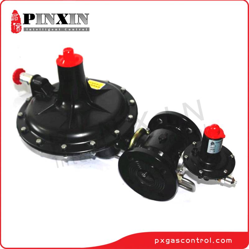 High Quality OEM Pilot Operated Gas Pressure Regulator Exporters –  China spring loaded direct acting natural gas pressure regulator – Pinxin detail pictures