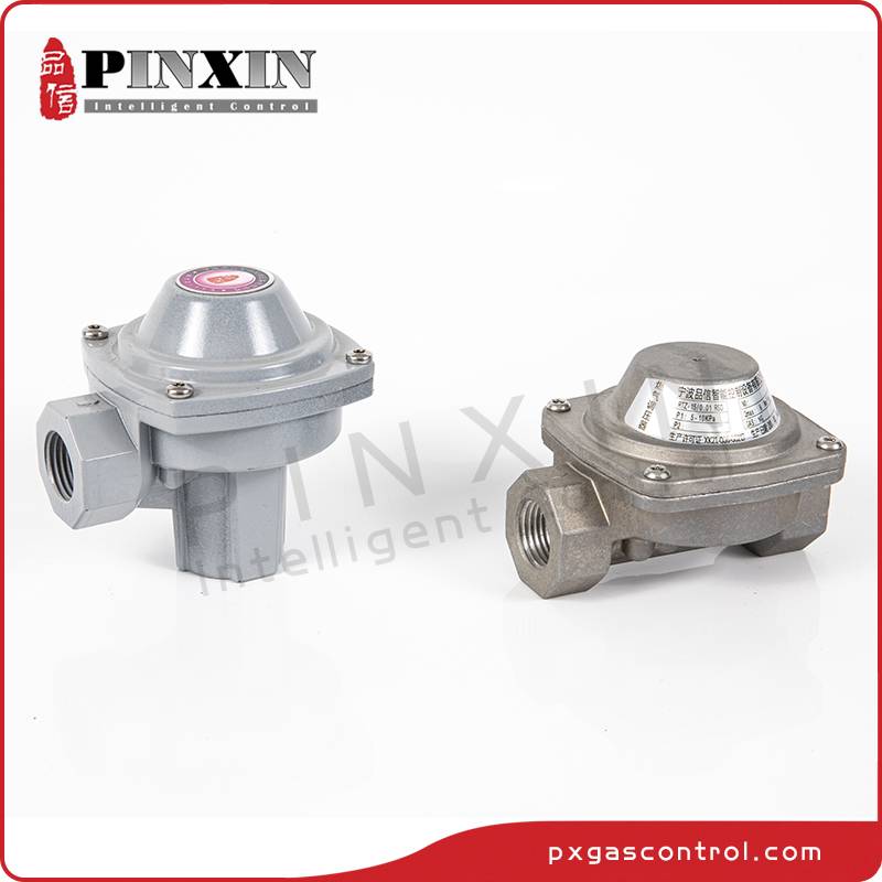 China wholesale High Pressure Gas Cylinder Regulator Products –  Low pressure direct acting natural gas regulator – Pinxin