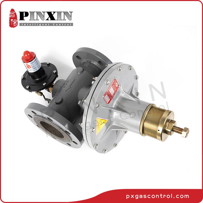 High Quality OEM Regulator Gas High Pressure Manufacturers –  China direct acting natural gas pressure regulator with UPSO OPSO – Pinxin