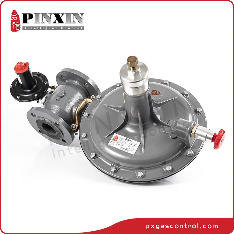 High Quality OEM Pilot Operated Gas Pressure Regulator Exporters –  China spring loaded direct acting natural gas pressure regulator – Pinxin detail pictures