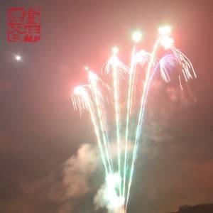 Shell Cake –  100S Fan shaped cake – JinPing Fireworks