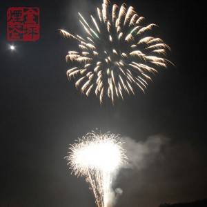 Z Shaped Cake –  19S Straight cake – JinPing Fireworks