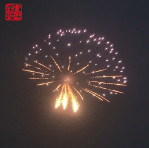 China Wholesale Special Fireworks Celebration Quotes –  4 series display shell-Silver tail to green jellyfish – JinPing Fireworks