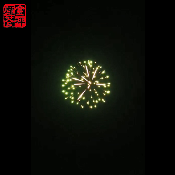 China Wholesale 2 Inch Display Shell Manufacturers –  4” SHELL GREEN TO BROCADE CROWN WITH PALMTREE PISTIL – JinPing Fireworks