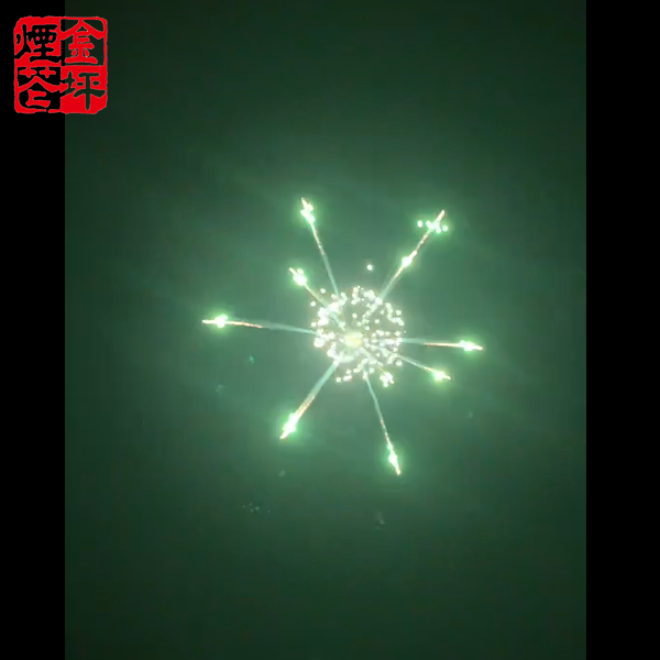 China Wholesale Fireworks Electric Firing System Manufacturers –  5 inch snow flower – JinPing Fireworks