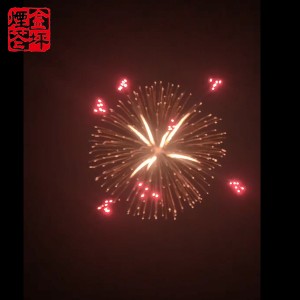 China Wholesale Personalized Fireworks Factory –  5 inch red flower time rain – JinPing Fireworks