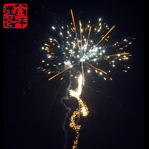 Shot Tube –  25S CAKE-B – JinPing Fireworks