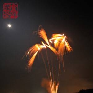 Cake Firework China –  40S Fan shaped cake – JinPing Fireworks