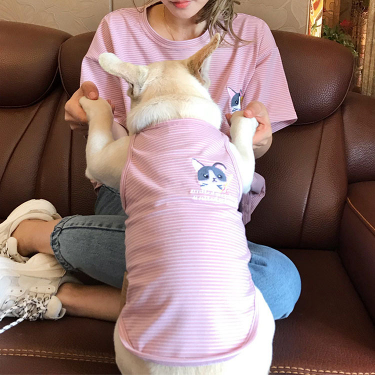 Professional Pet Bag Suppliers –  Cool And Breathable Summer Pet Parent-child Clothing  – Chuangneng