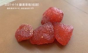 Dried strawberry and dried cantaloupe