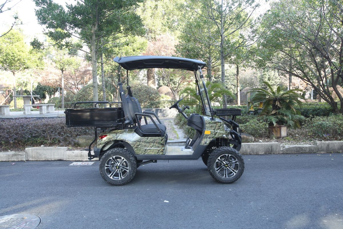 Electric Golf Cart 2 Seater with cargo box High Performance New Currents Best Sale