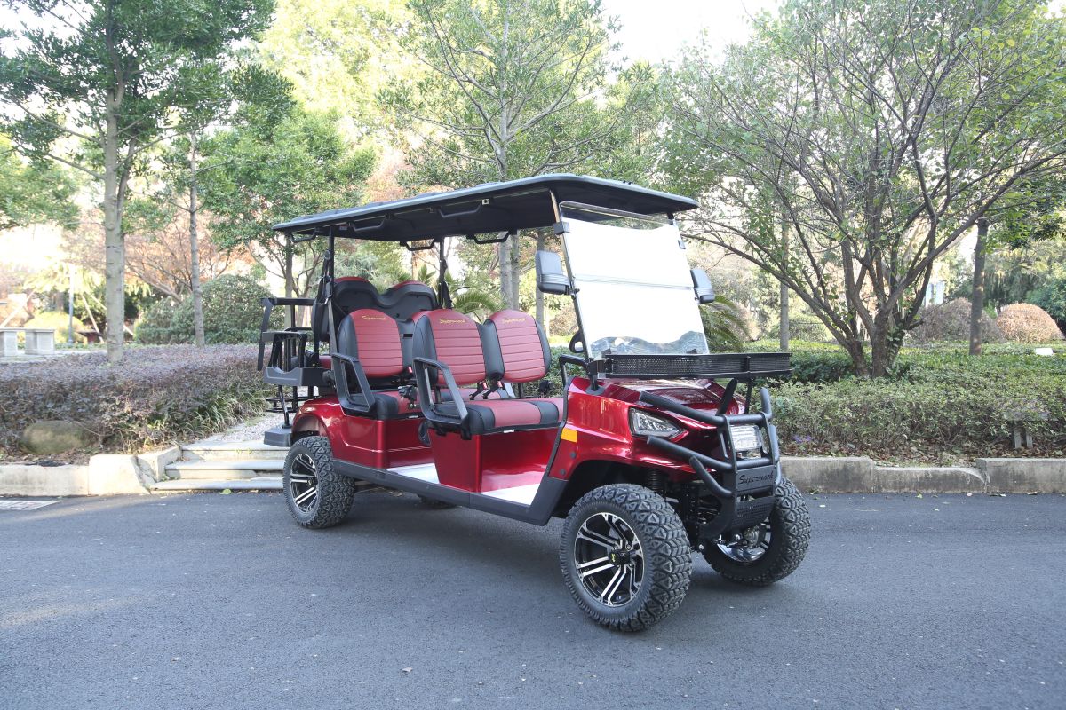 Original factory 6 seater electric golf carts USA 4×2 passenger 5000w motor golf cart