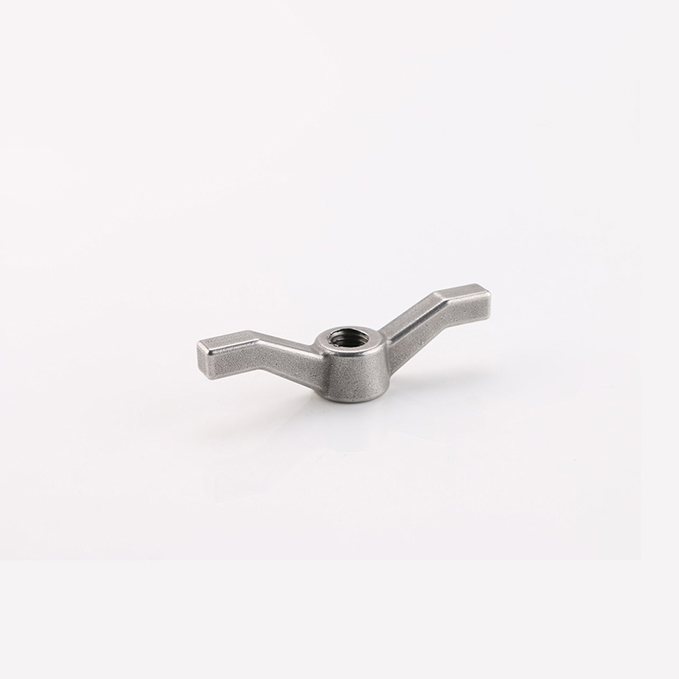 Stainless Steel Special-Shaped Fastener DIN OEM Exporter