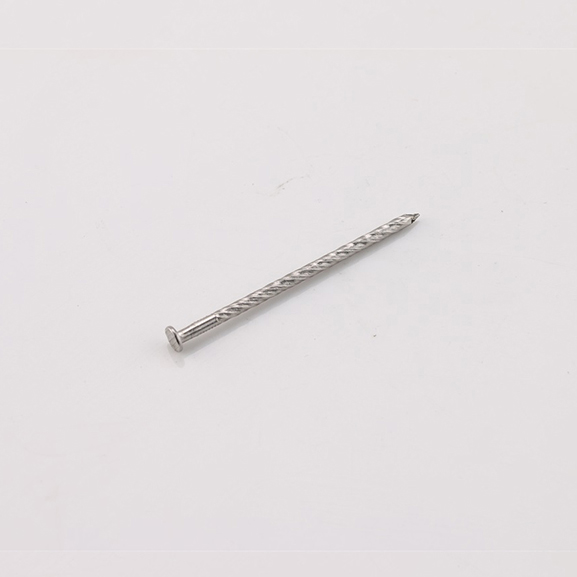 Stainless Steel Nail DIN18182 Leading Chinese Supplier Exporter