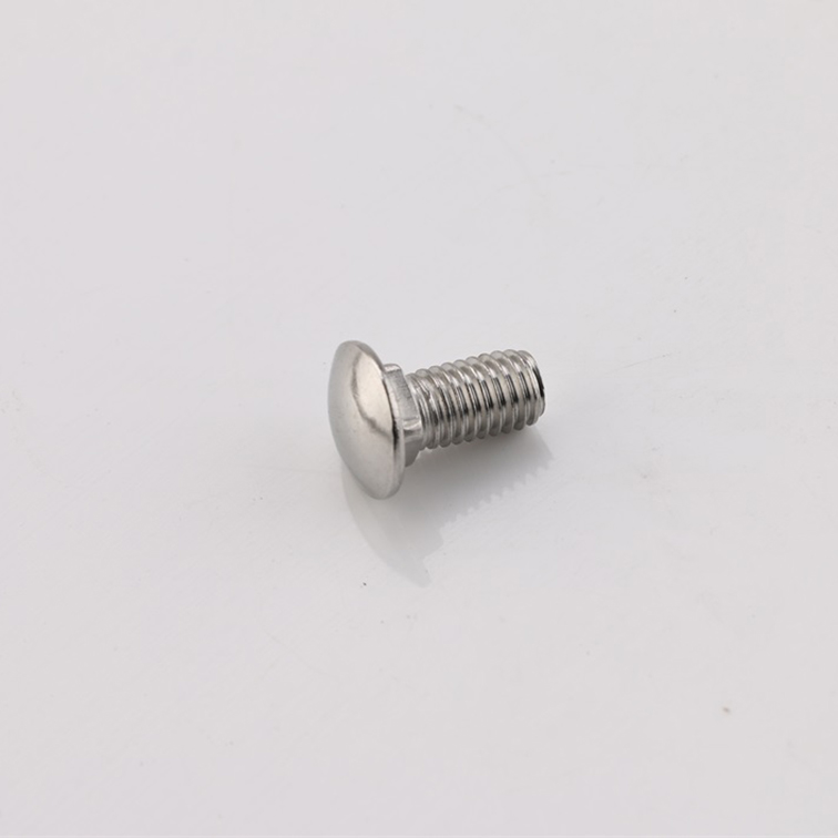 Stainless-steel-carriage-bolt