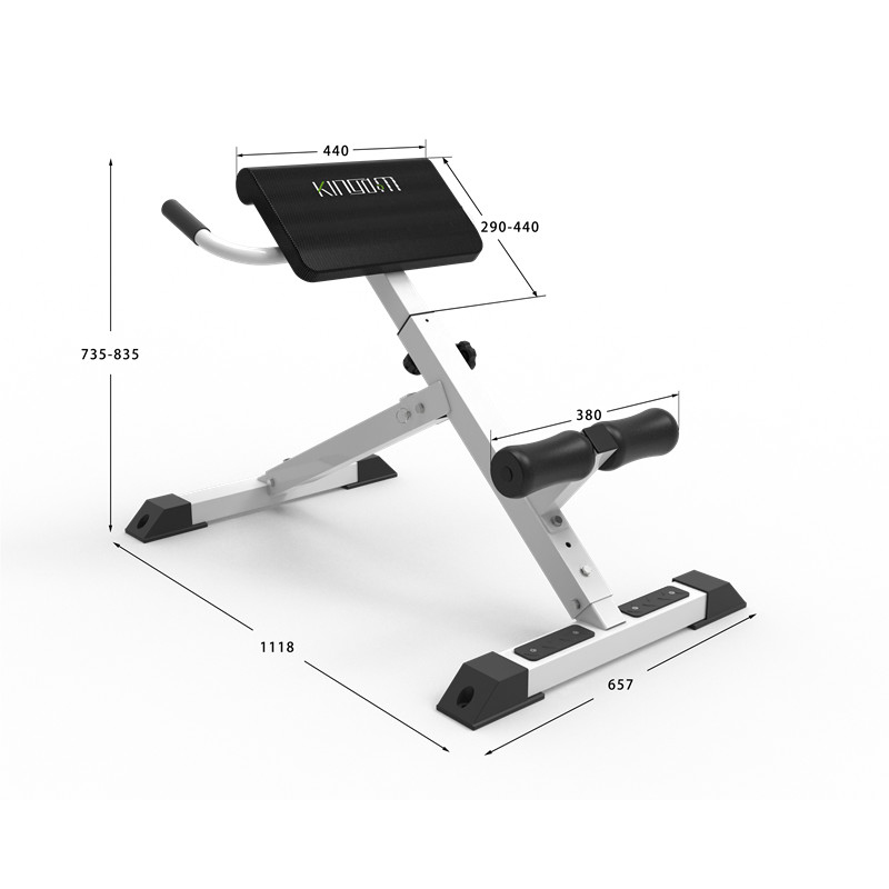 Competitive Price For Decline Adjustable Bench - HP12 – Hyperextension Roman Chair  – Kingdom detail pictures