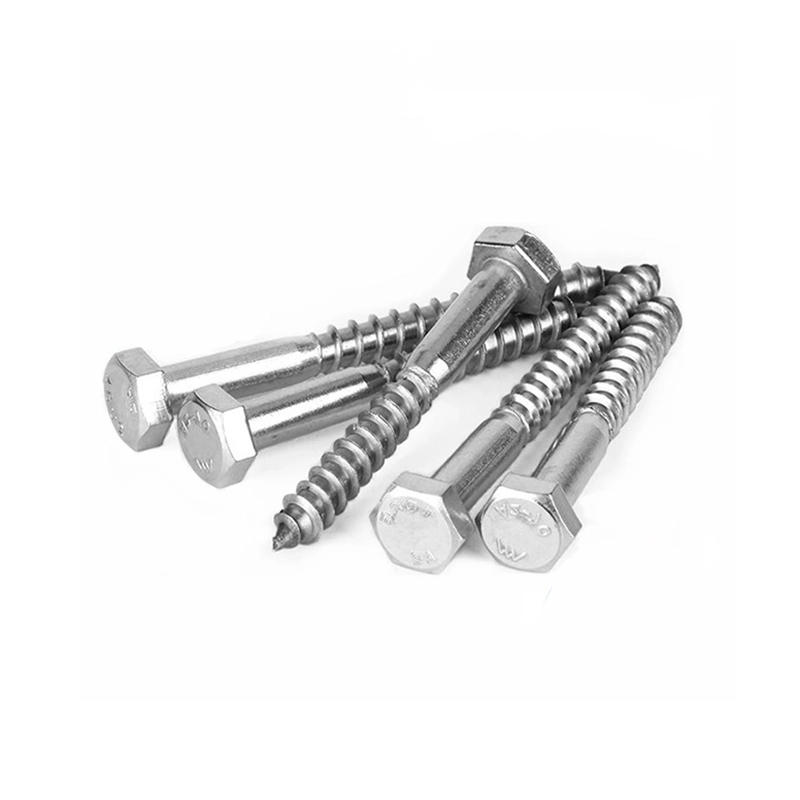 DIN571 Stainless Steel 304 A2- 70 316 A4-80 Coach Screws Wood Screw Supplier in China
