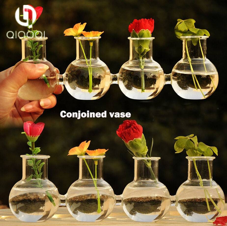 Creative water planting clear glass vase
