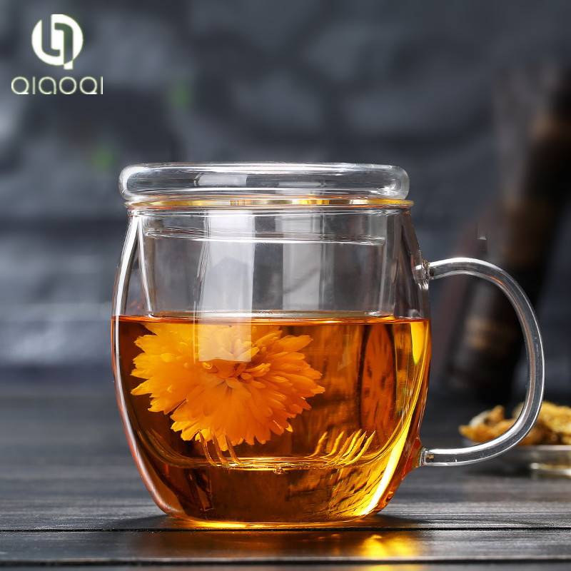 17oz Borosilicate Glass Teacup with Glass Lid and Infuser